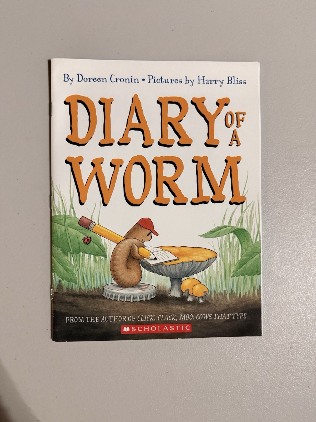 Diary of a Worm – Hardcover By Cronin, Doreen – GOOD