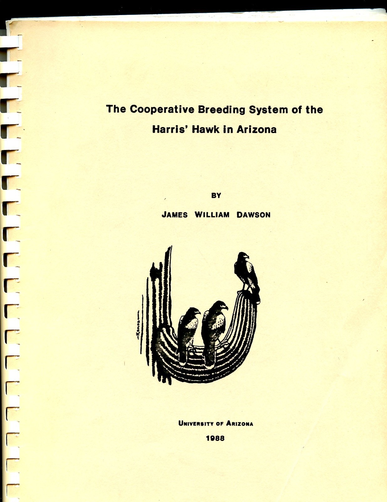 1988 Thesis, U Arizona – Breeding of Harris Hawk in Arizona – Wildlife, DAWSON