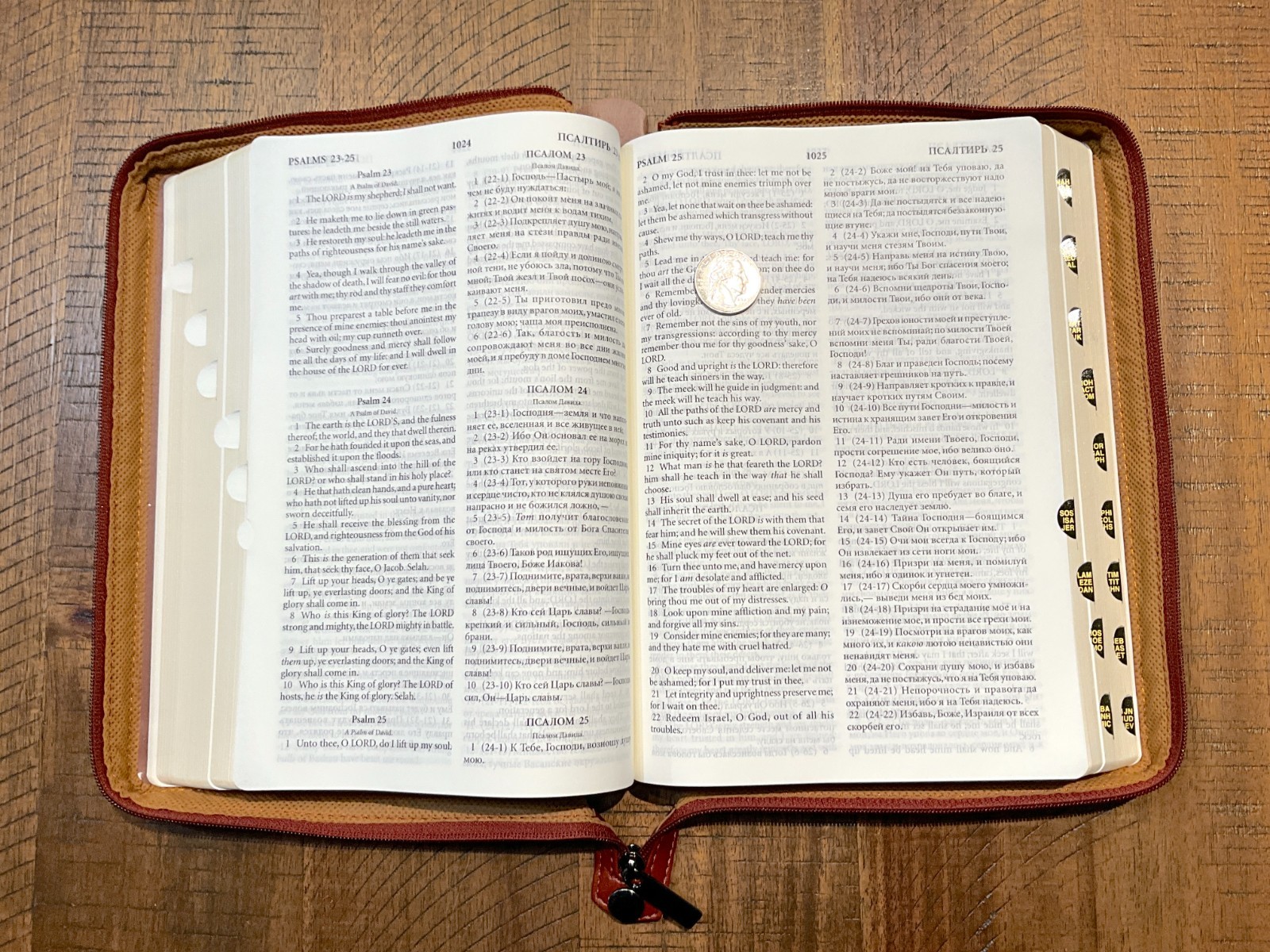 Russian/English Parallel Bible, Synodal/KJV, Brown Imitation Leather Zip LARGE