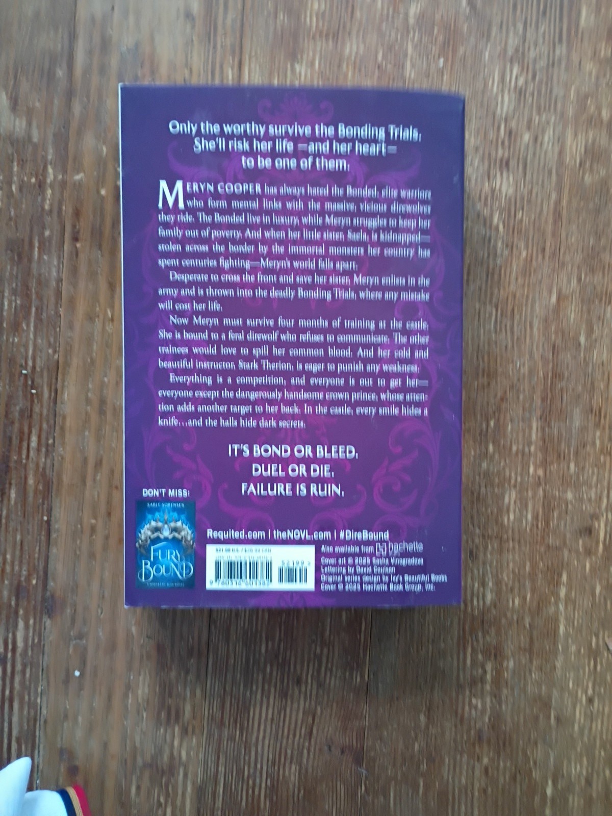 Dire Bound by Sable Sorensen (2025, Trade Paperback)