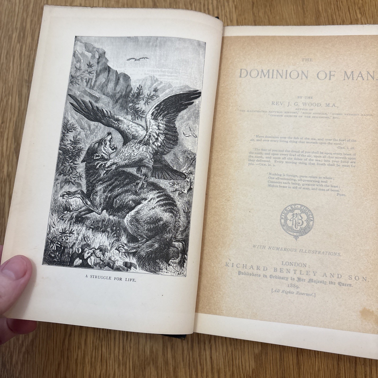 The Dominion of Man antique Hardcover 1889 by Rev J G Wood Bentley