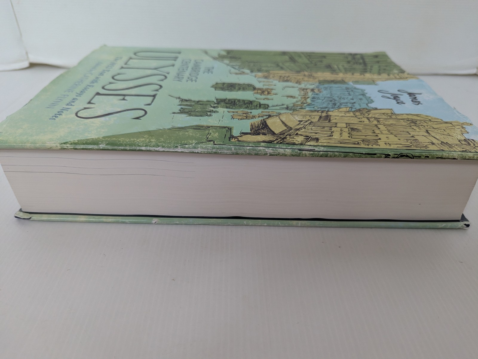 The Cambridge Centenary Ulysses James Joyce 1922 Text Essay Notes Flynn Hardback