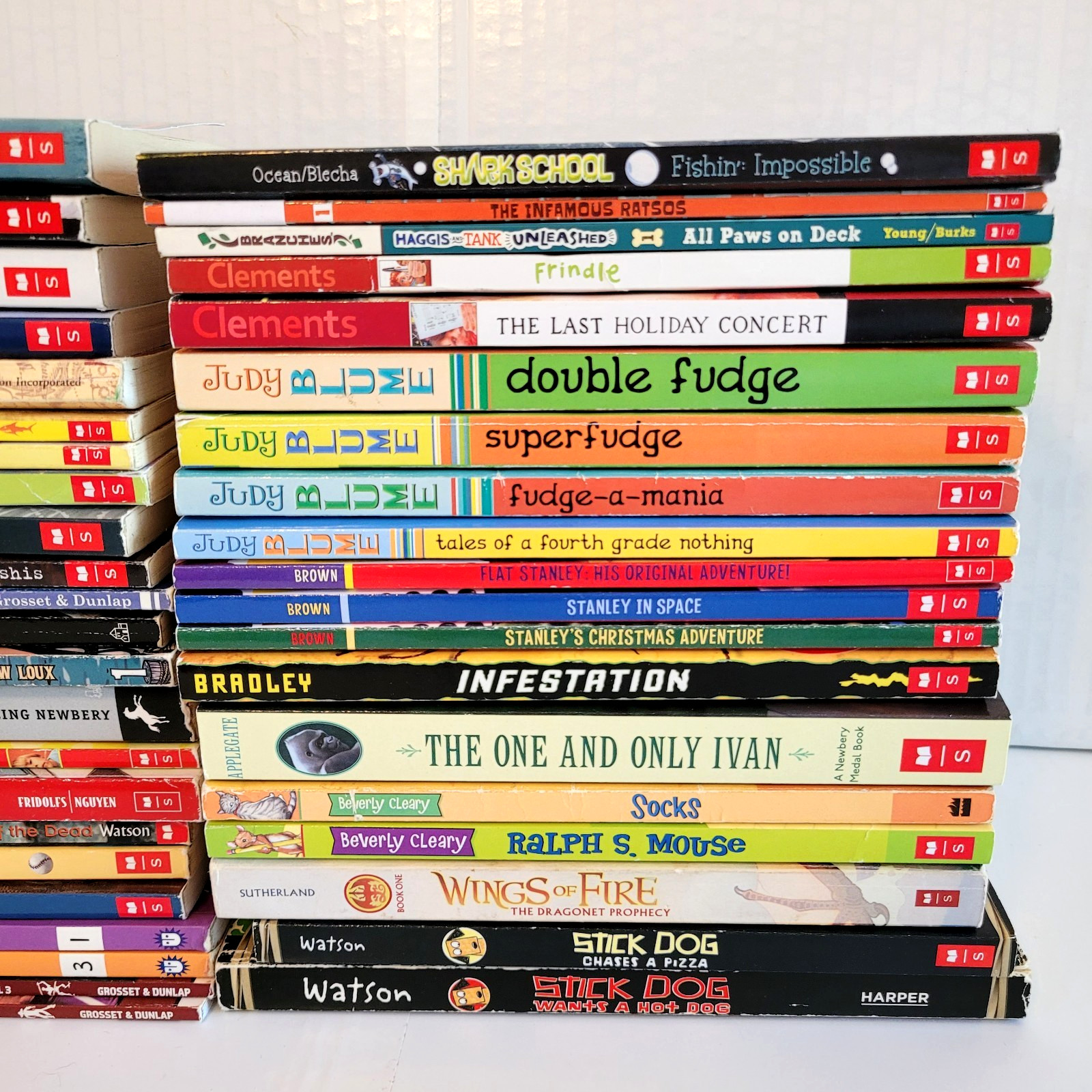 Boys Chapter Books Lot 3rd/4th/5th/6th Grade 42 PB Scholastic Homeschool