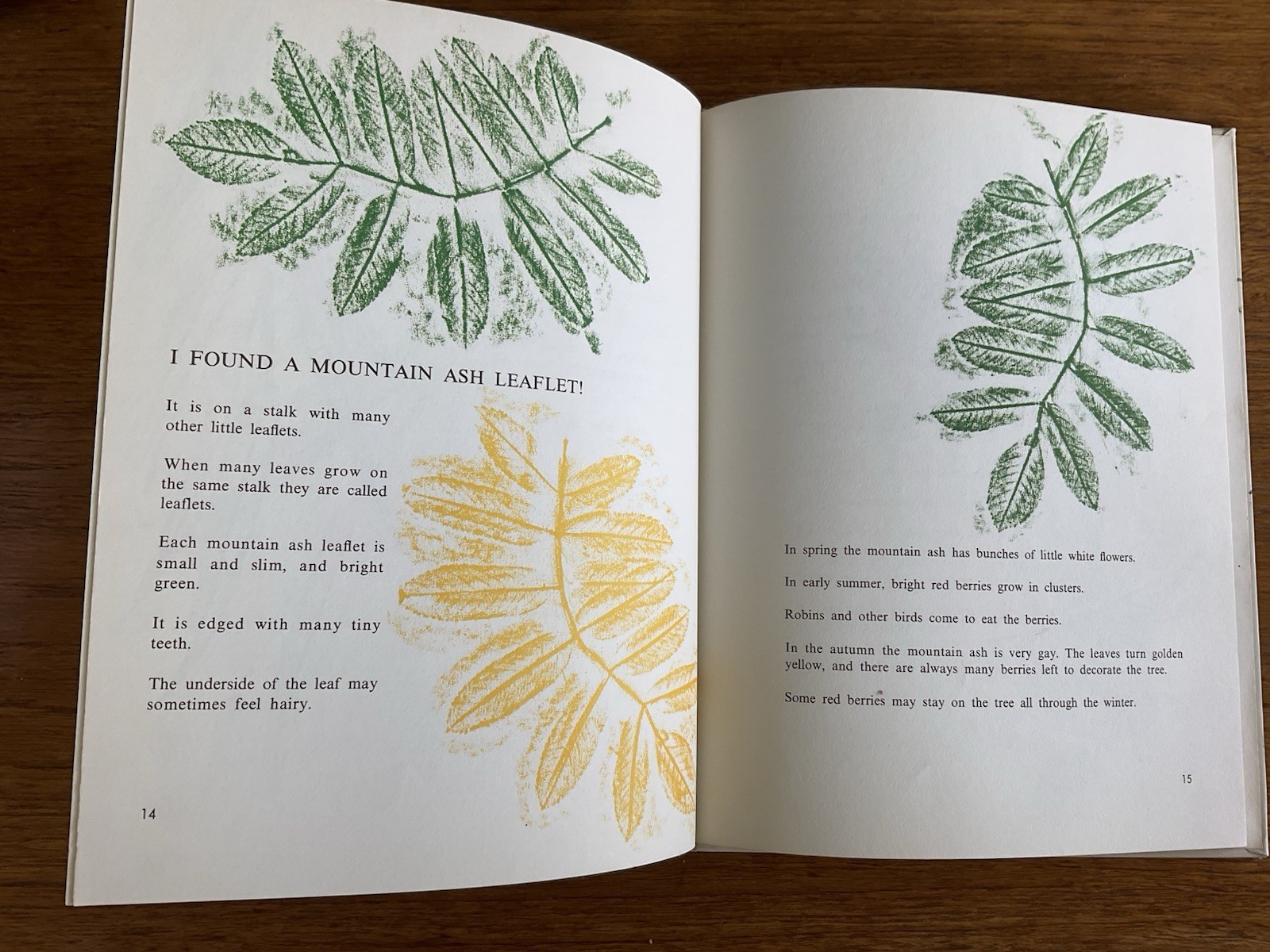 I found a leaf~Sharon Lerner~c1964~3rd ptg 1967~Lerner Publications~HB~36 pages