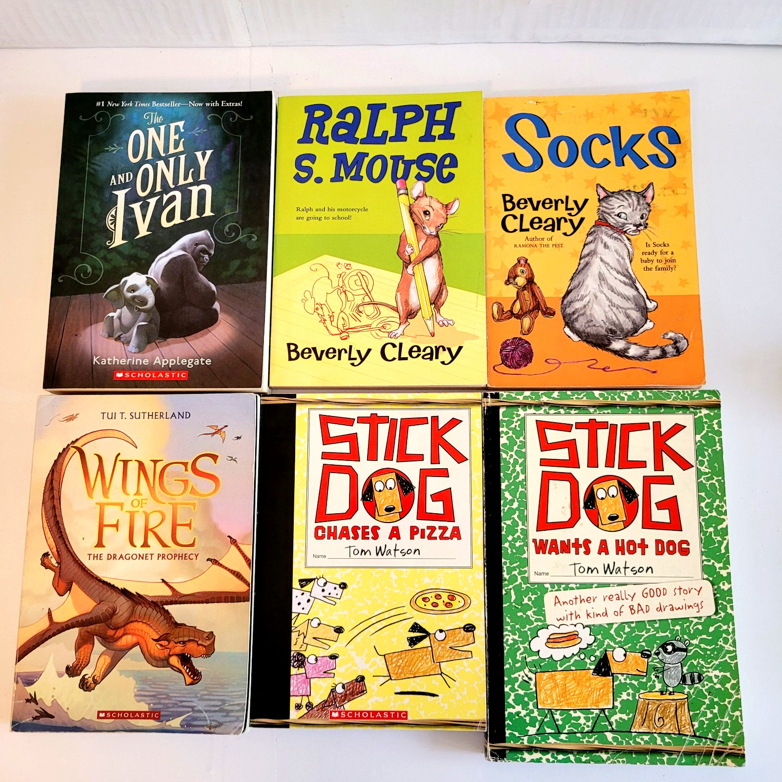 Boys Chapter Books Lot 3rd/4th/5th/6th Grade 42 PB Scholastic Homeschool
