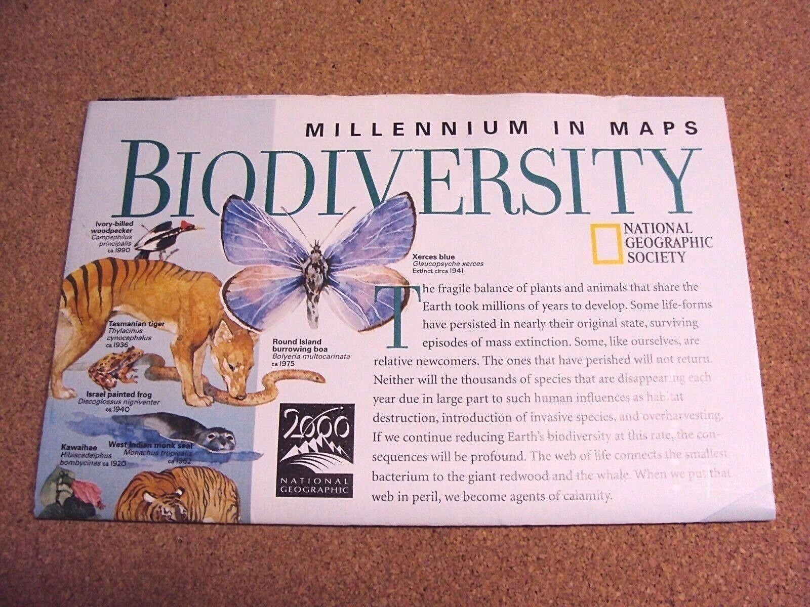 National Geographic Magazine February 1999 Map Biodiversity Diversity Of Life