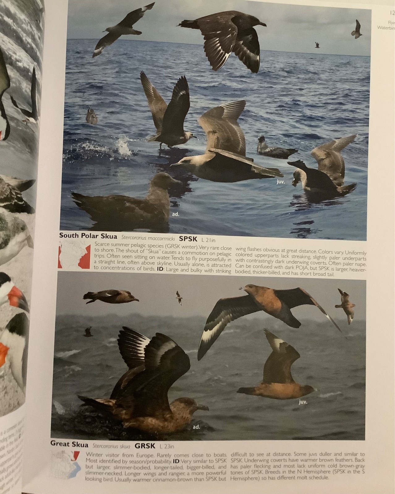 The Crossley ID Guide, Eastern Birds, Richard Crossley, Trade, Ex-libris
