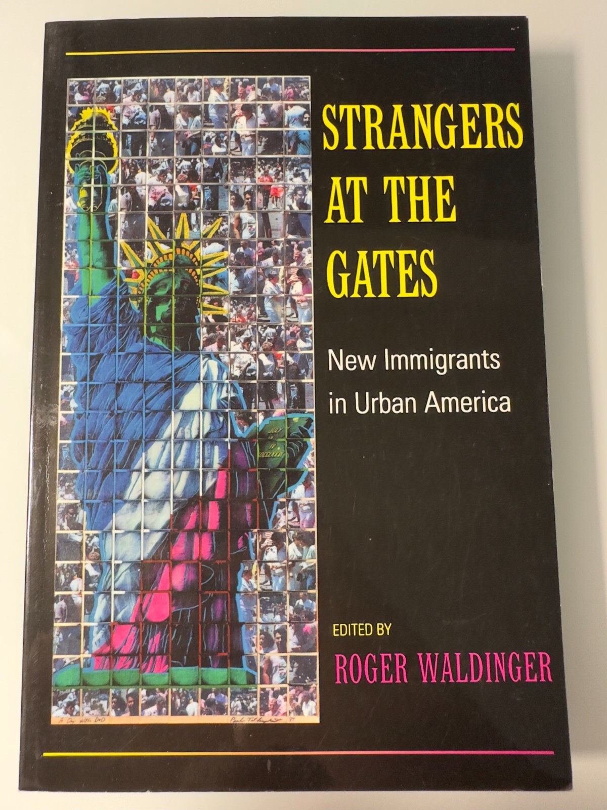 Strangers at the Gates by Roger Waldinger Paperback Nonfiction Urban Sociology