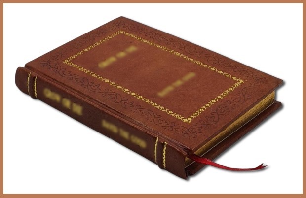 The Ego and the Id By Freud, Sigmund Strachey, James Gay [Premium Leather Bound]
