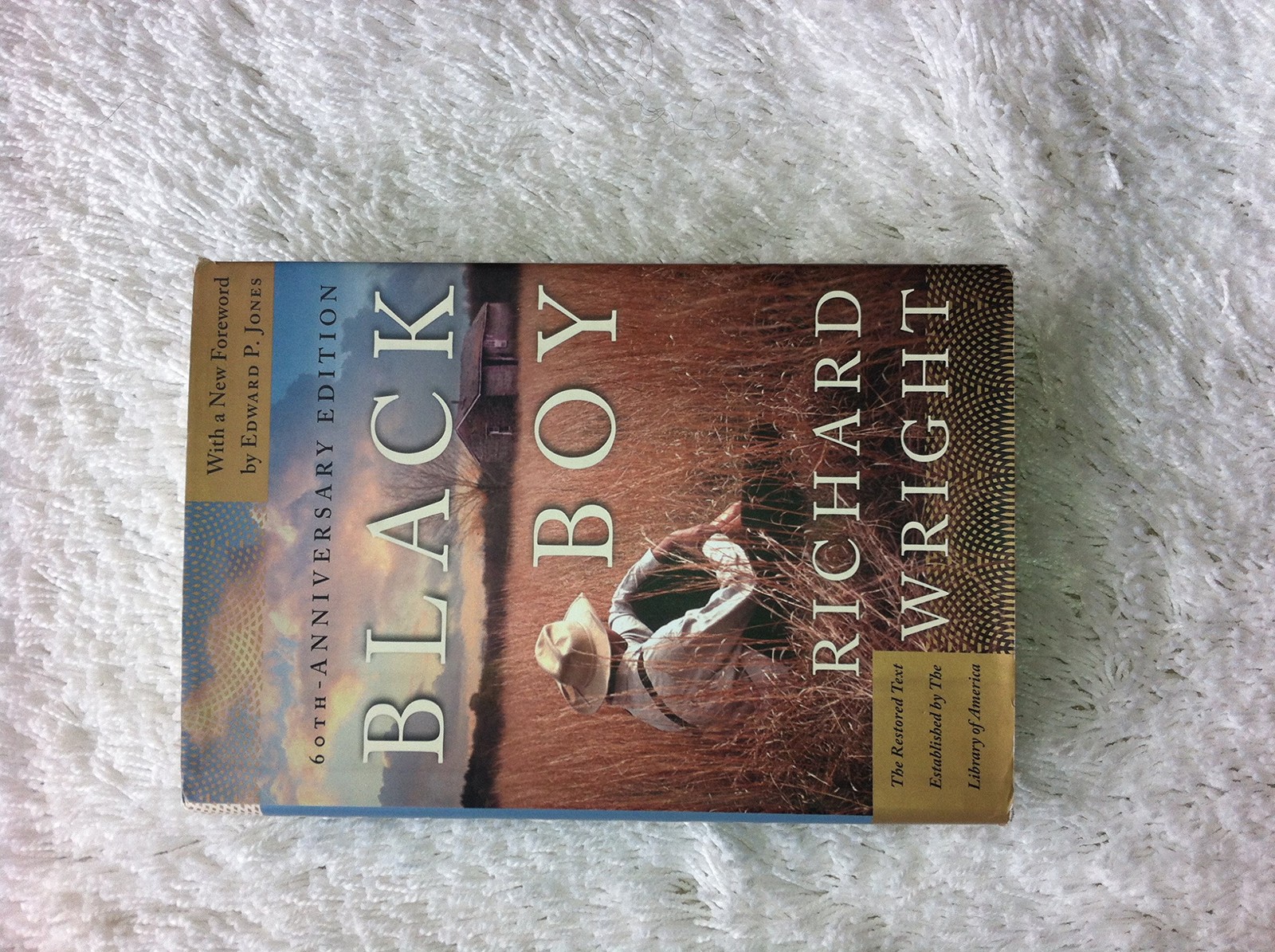 Black Boy: A Record of Childhood and Youth