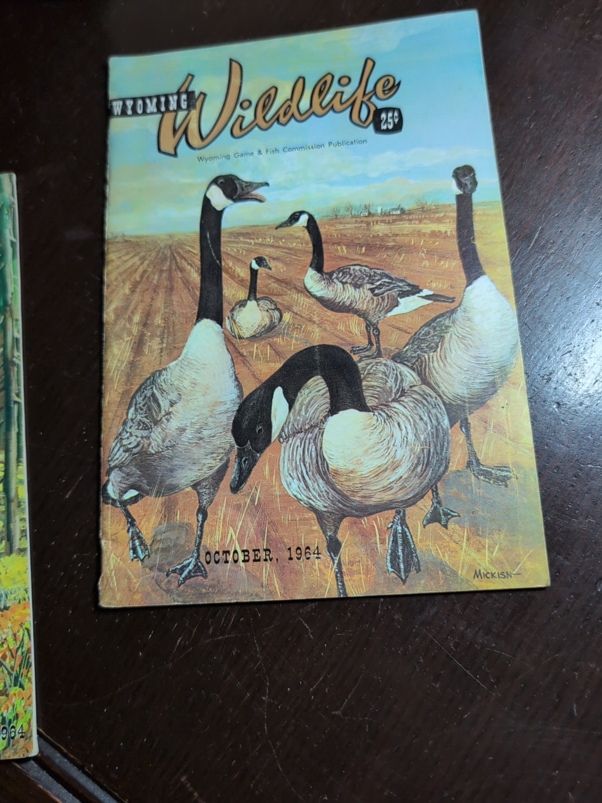WYOMING WILDLIFE MAGAZINE 5 ISSUES EARLY 60s For 9.99