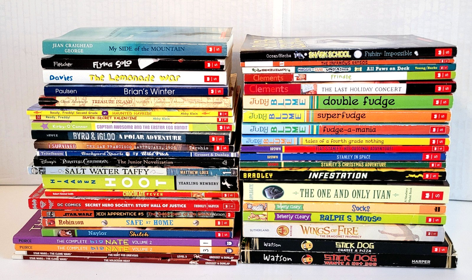 Boys Chapter Books Lot 3rd/4th/5th/6th Grade 42 PB Scholastic Homeschool