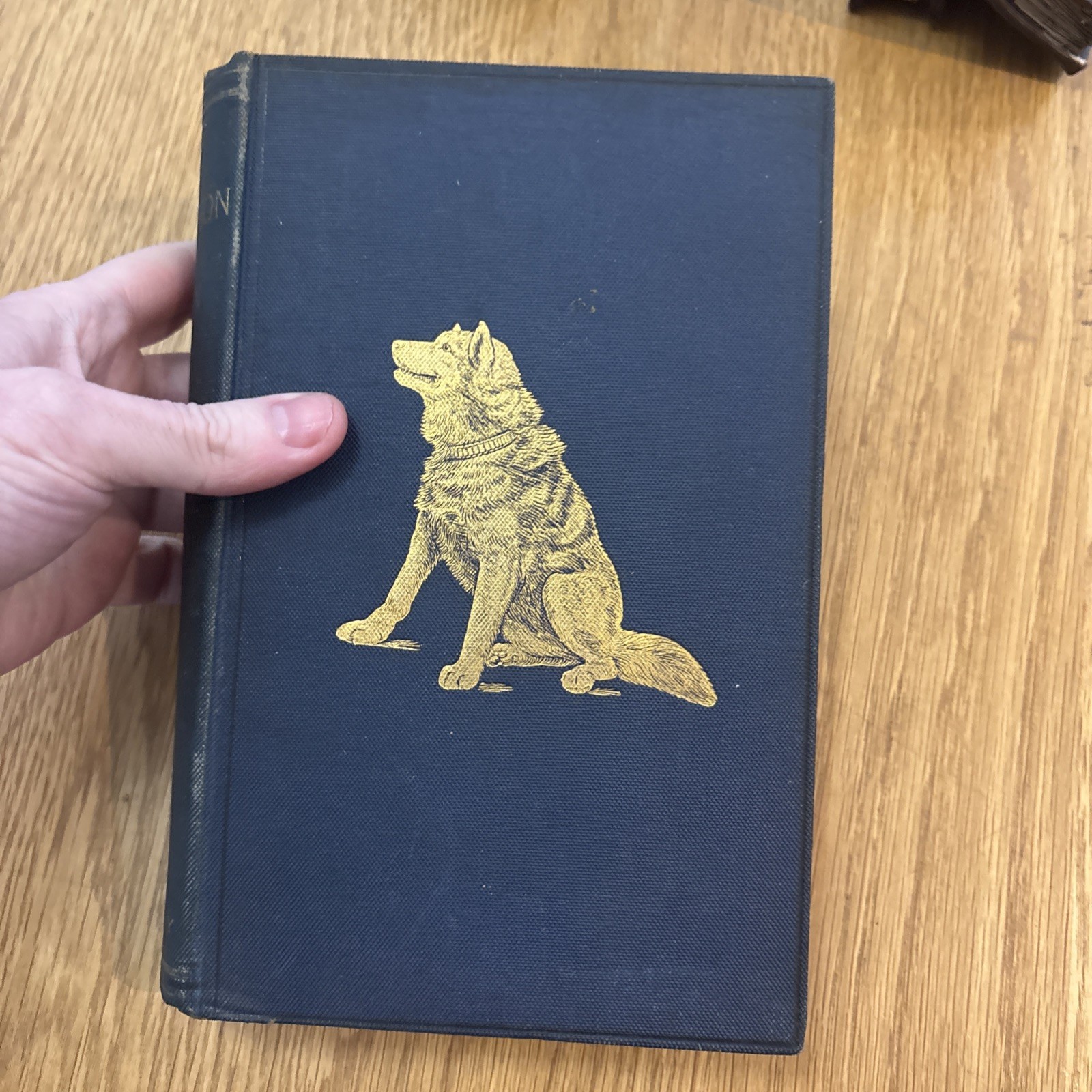 The Dominion of Man antique Hardcover 1889 by Rev J G Wood Bentley