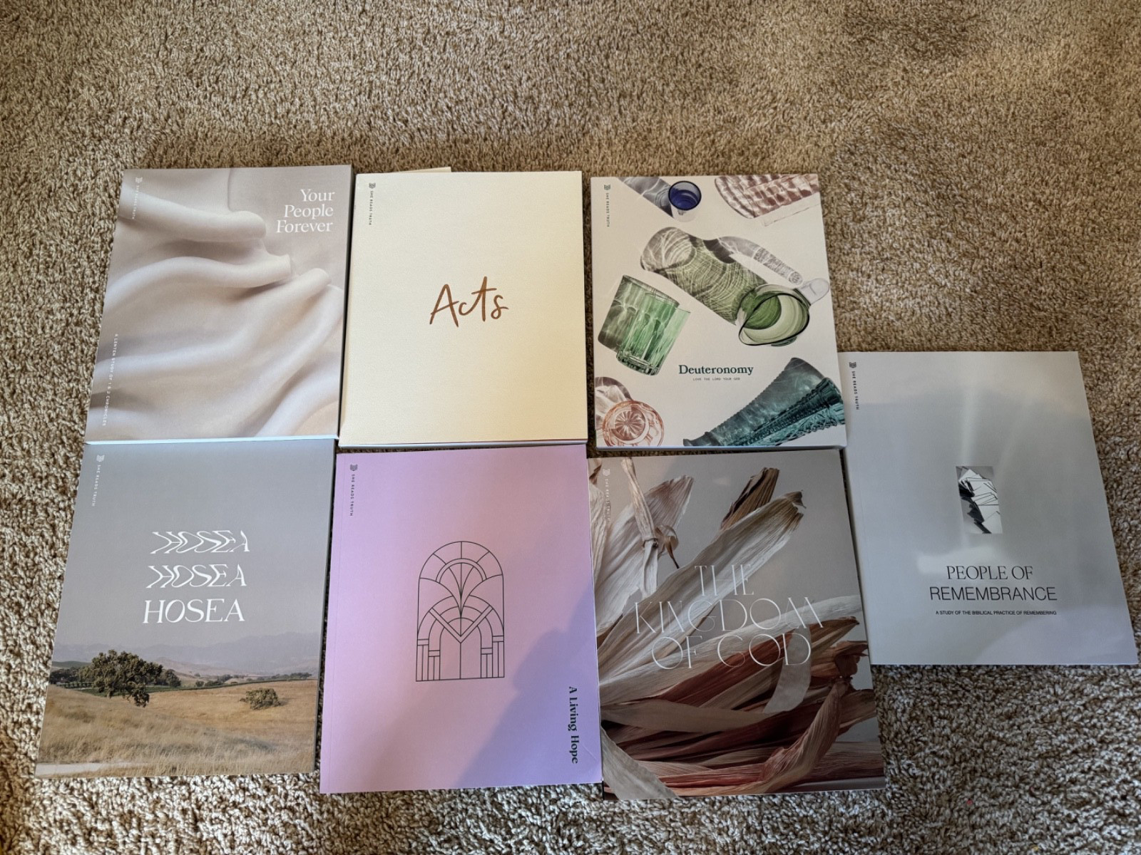 NEW She Reads Truth Lot of 7 Bible Study Guide Books Old and New Testament