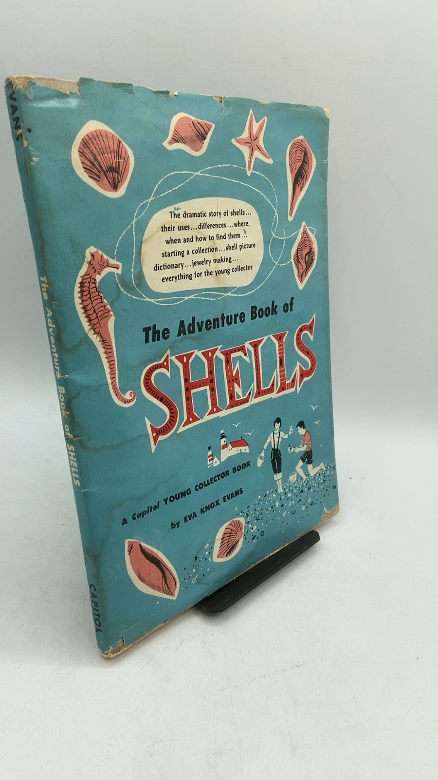 The Adventure Book of Shells Eva Knox Evans Hardcover