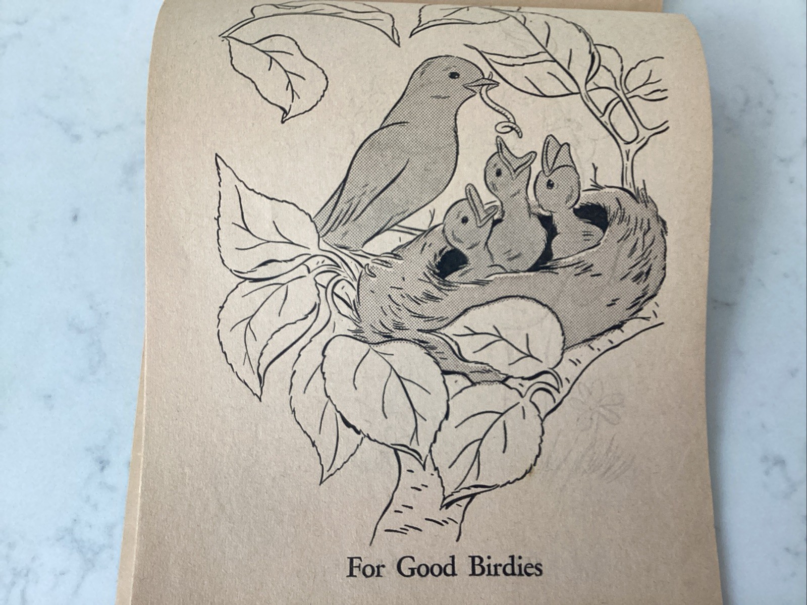 Magic Paintless Paint Book 1940s – 50s Lowe Vivid Colors Unused Except 1 Page