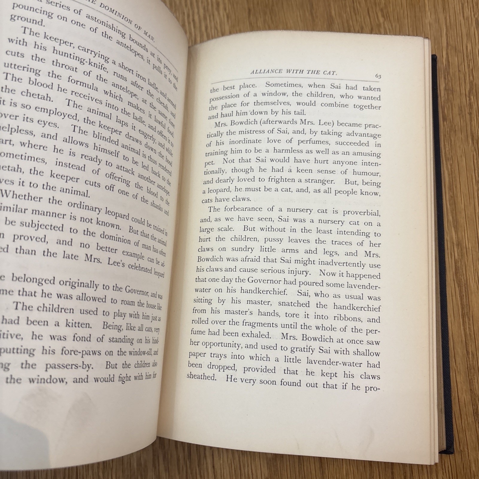 The Dominion of Man antique Hardcover 1889 by Rev J G Wood Bentley