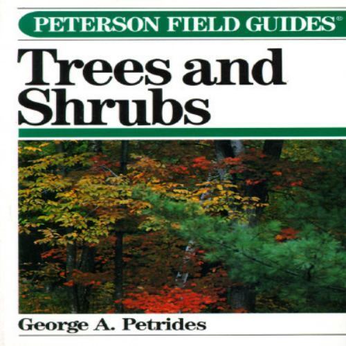 A Field Guide to Trees and Shrubs (Peterson Field Guides) by George A. Petrides