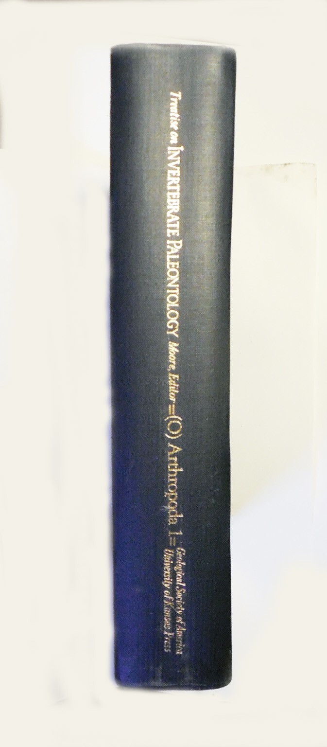 TREATISE ON INVERTERBRATE PALEEONTOLOGY, MOORE EDITOR, 560 PAGES, 1959 1st EDIT