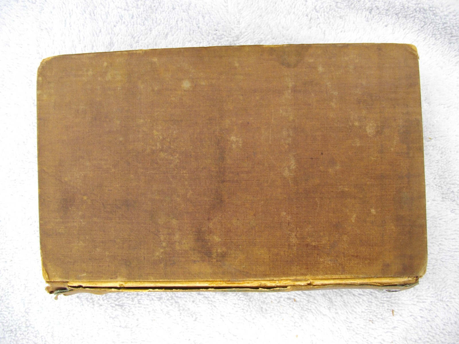Rienzi, Last of The Tribunes by Sir E. Bulwer-Lytton 1835 Edition Rare Book