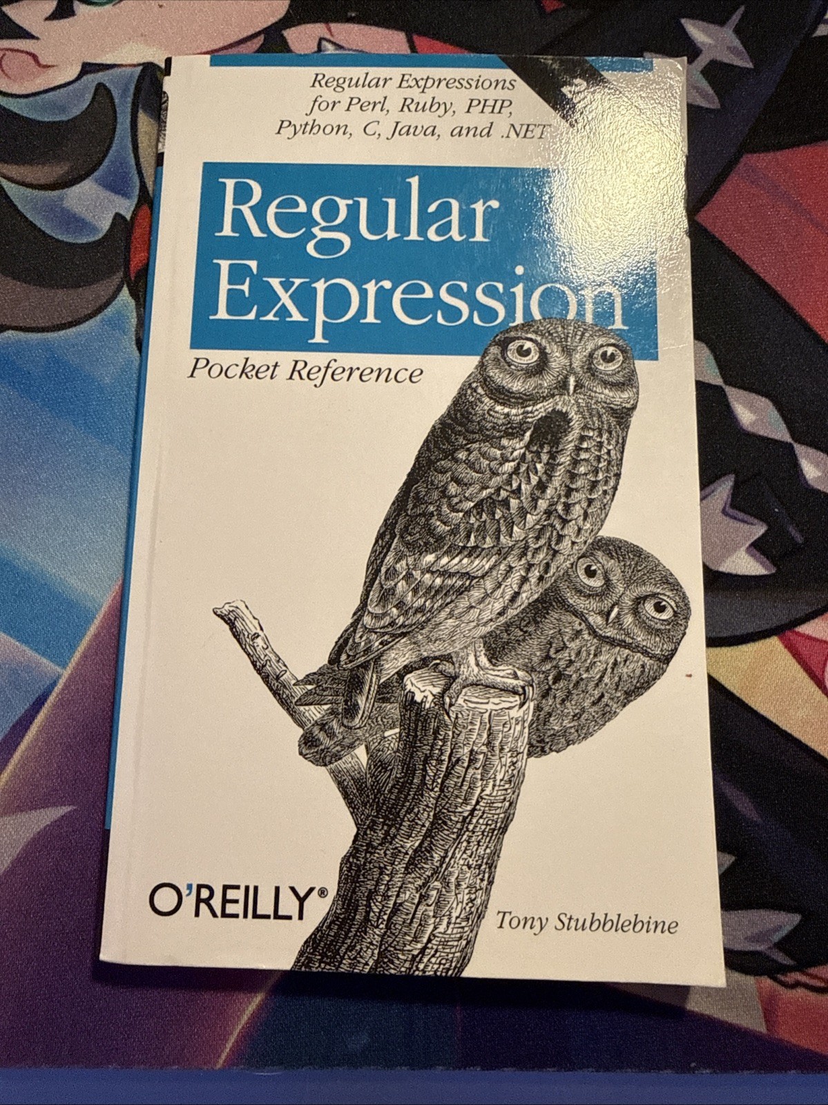 Regular Expression Pocket Reference 2nd edition : Regular Expressions for Perl..