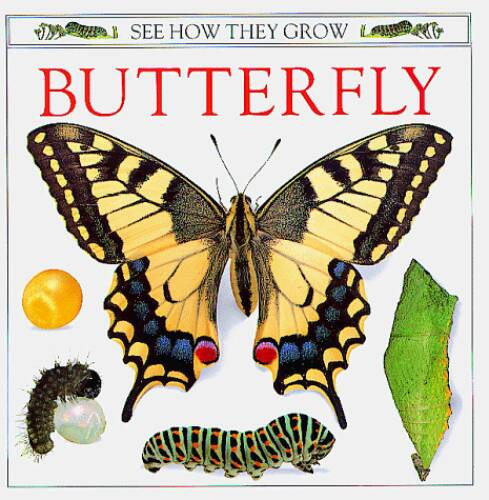 Butterfly (See How They Grow) – Hardcover By Ling, Mary – VERY GOOD
