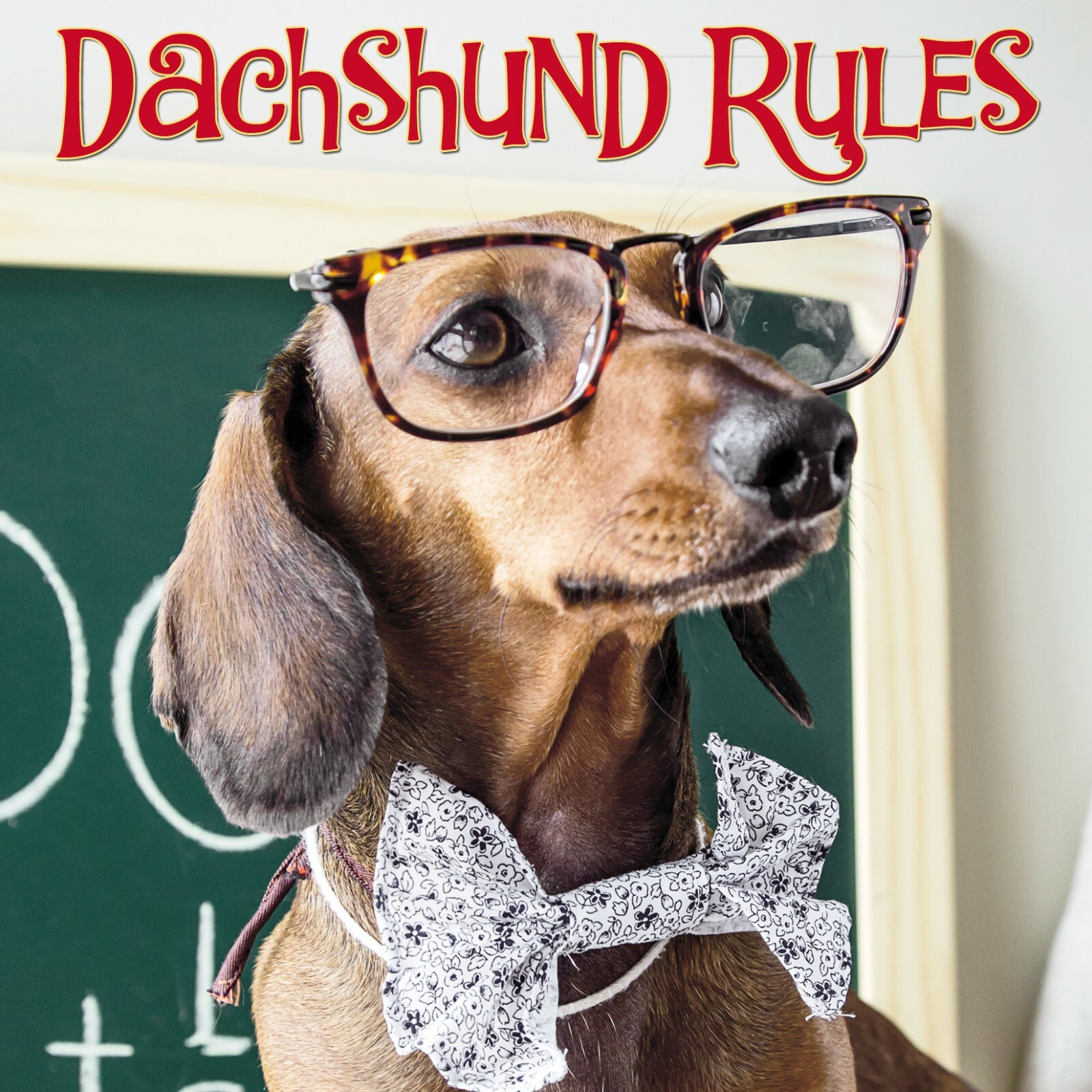 Dachshund Rules Hardcover Gift Book (Brand New) 5.5″ x 5.5″ (free shipping)