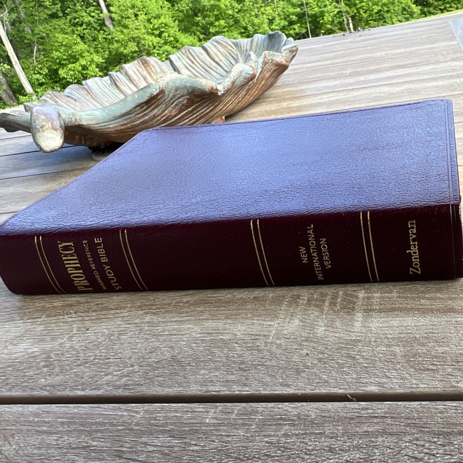 Zondervan NIV Prophecy Marked Reference Study Bible Bonded Leather Jeffrey
