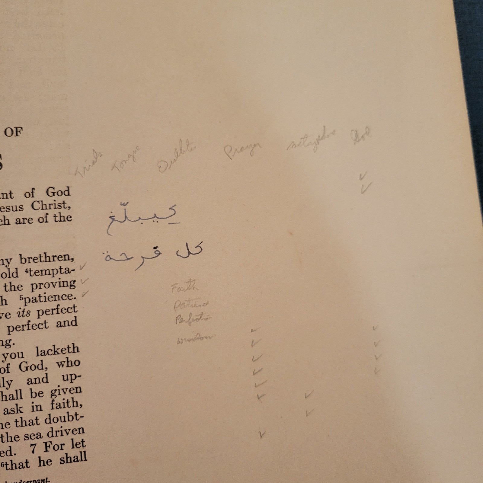 American Bible Society New Testament Wide Margin Loose Leaf Pages INCOMPLETE