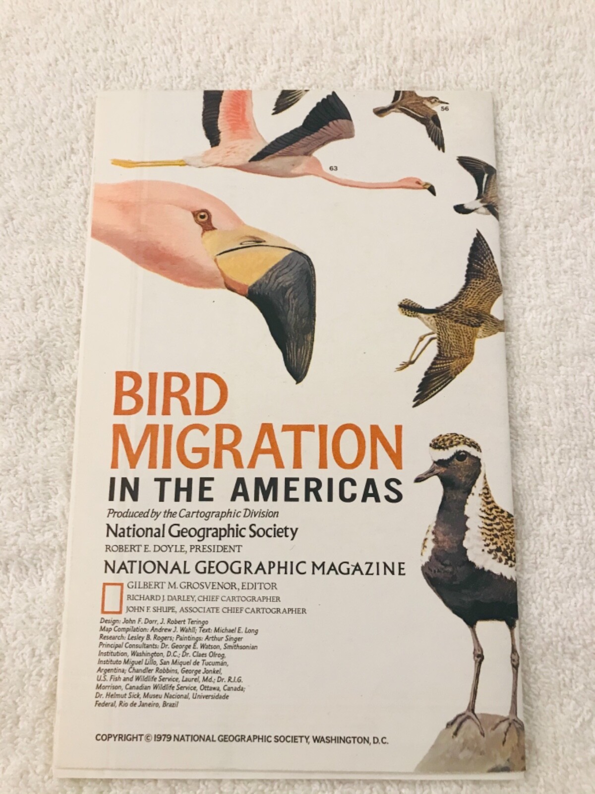 National Geographic August 1979 Map Bird Migration In The Americas