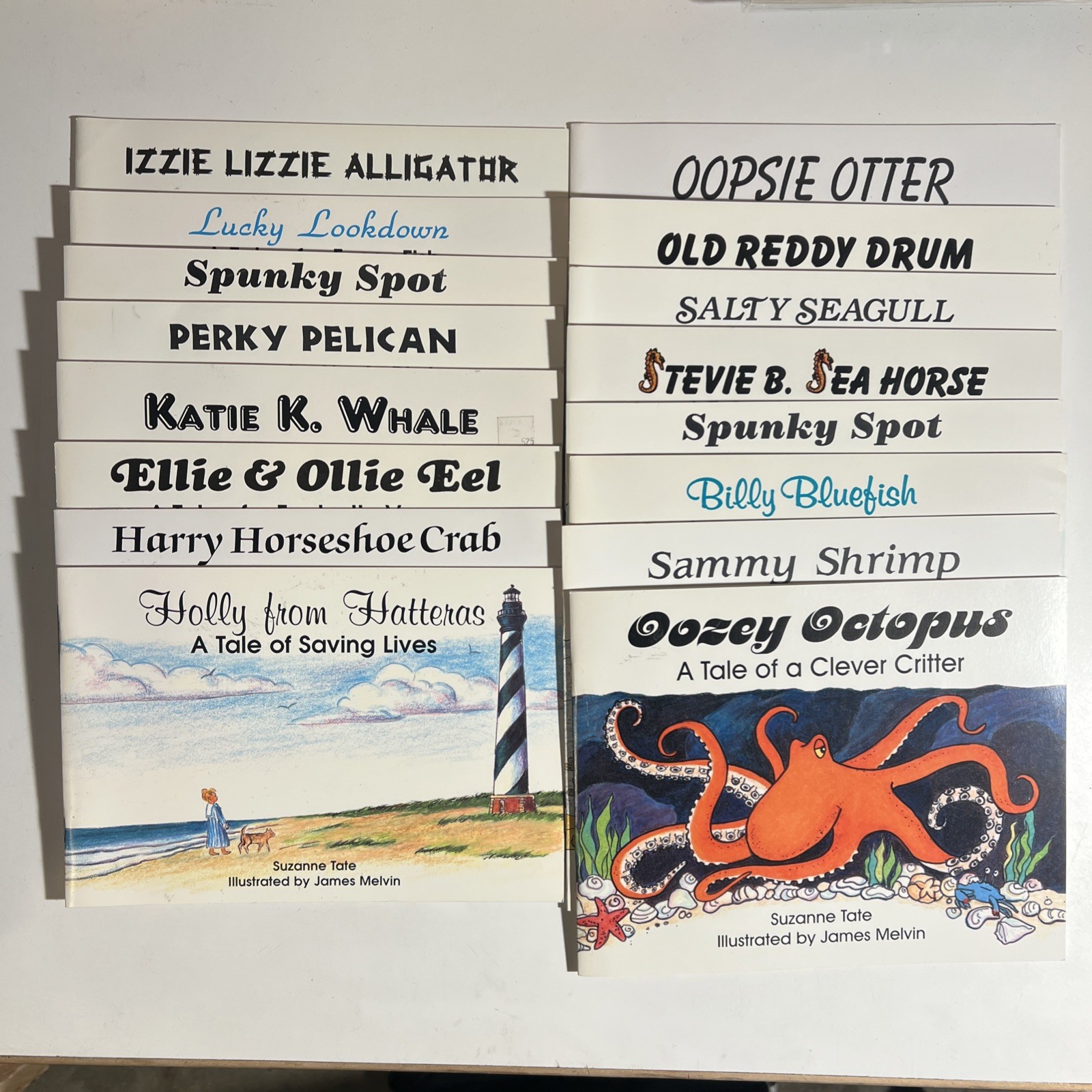 Lot 16 Suzanne Tate and James Melvin Nature Ocean Series Picture Books Hatteras