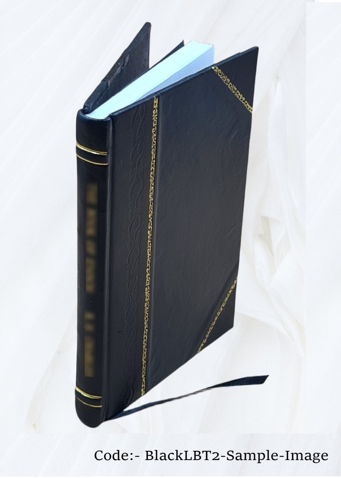 Zeitschrift f?r ?gyptische Sprache und Altertumskunde: Z?S. 25. [Leather Bound]