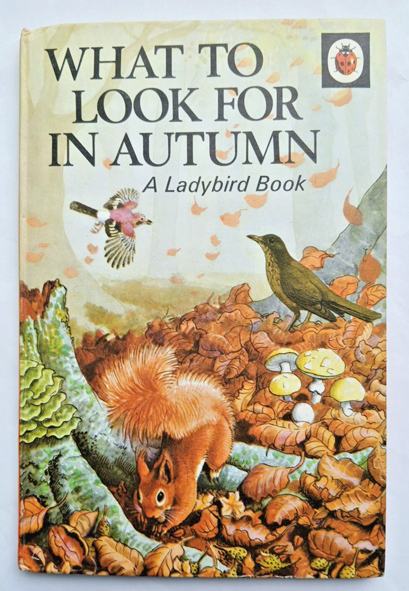 Ladybird What to look for in Autumn 1973, Vintage 4 Seasons Book, Gd+ condition