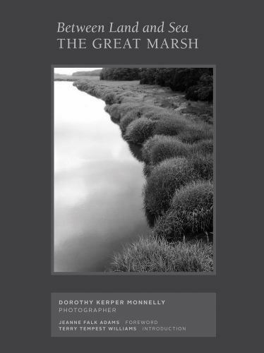 Between Land and Sea : The Great Marsh, Hardcover by Monnelly, Dorothy Kerper…
