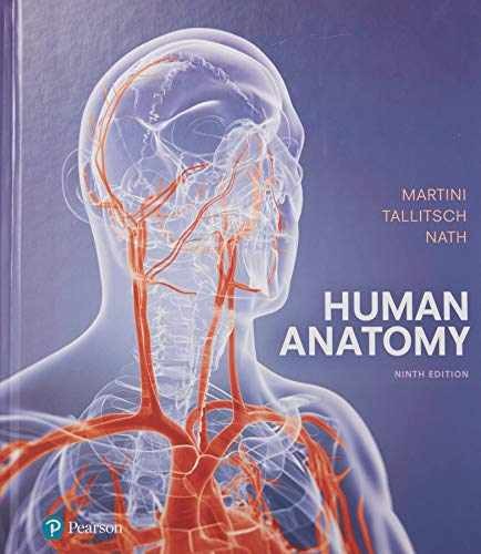 Human Anatomy – Hardcover, by Martini Frederic H.; Tallitsch – Acceptable