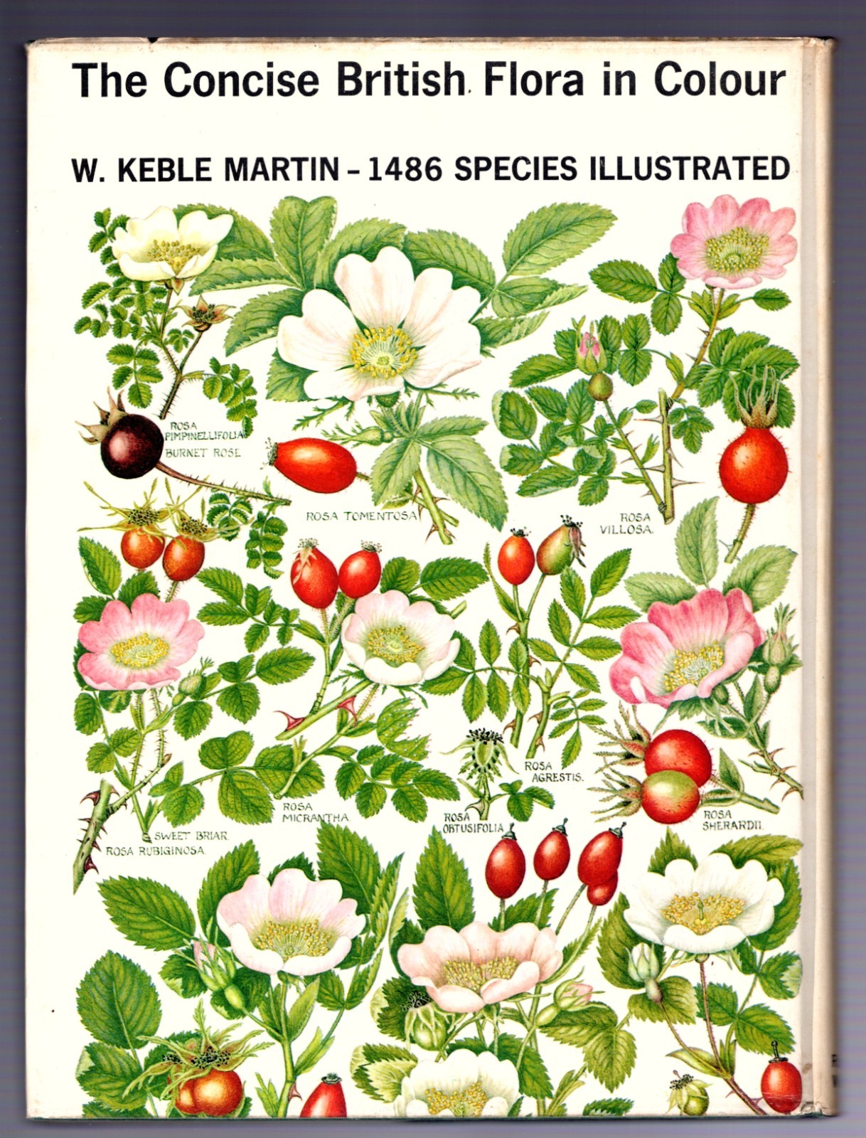 The Concise British Flora in Colour Keble Martin, 1st Edition 1965 HC