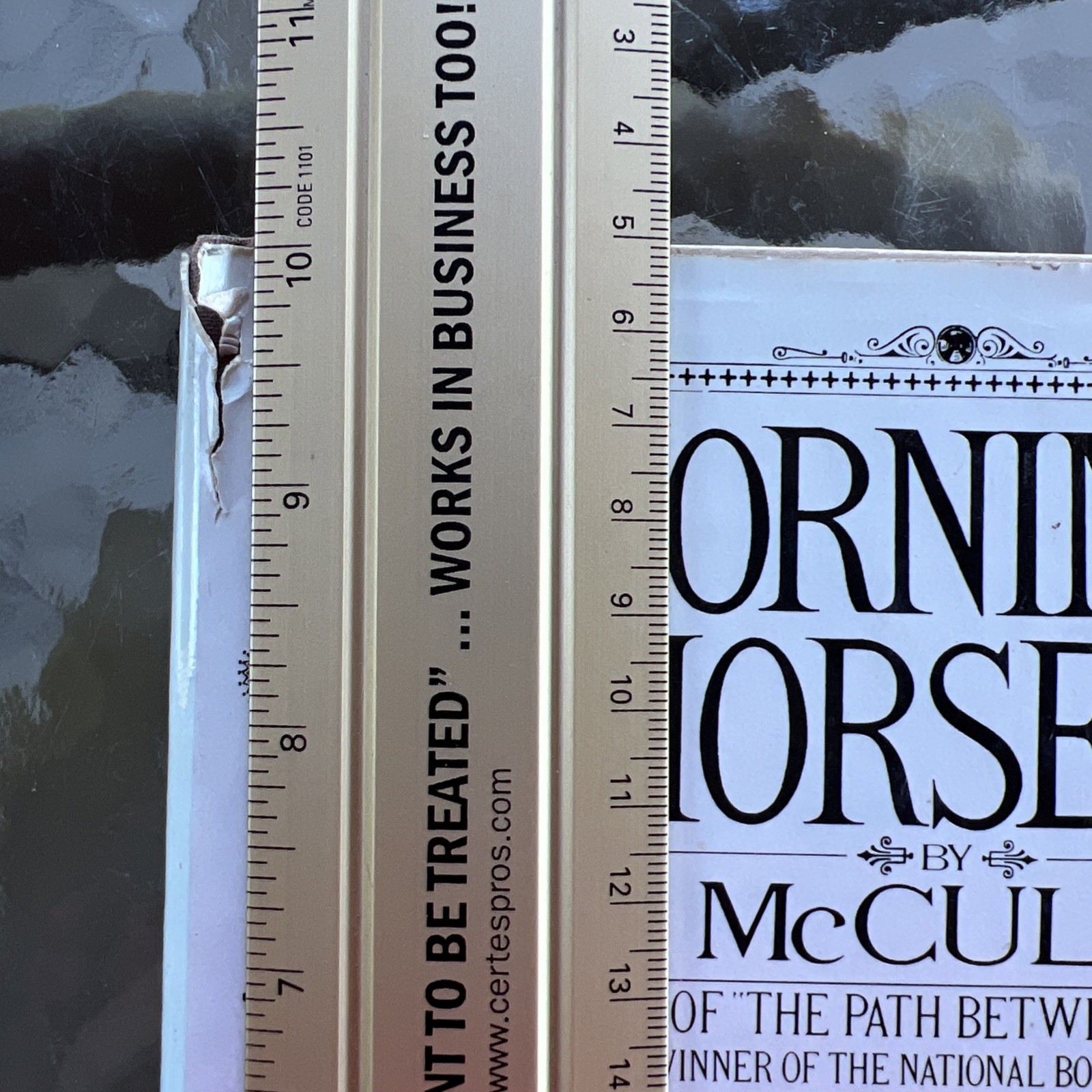 Mornings On Horseback by David McCullough 1st Edition First Printing 1981