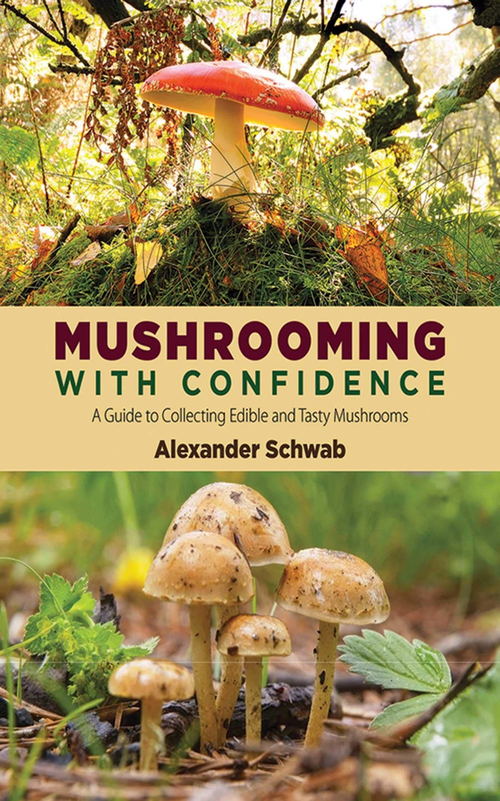Mushrooming with Confidence: A Guide to Collecting Edible and Tasty Mushroom…