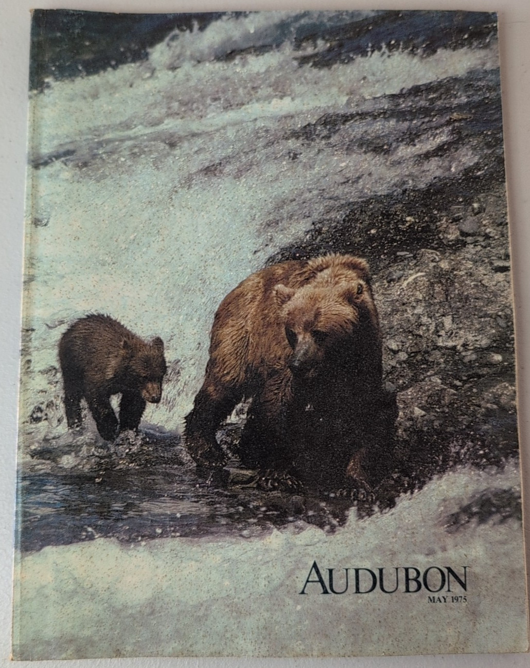 Audubon Magazine 1975 May Vtg Alaska Brown Bear Wildflower Nature Photography